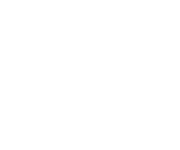 ROSSELLIT IMMOBILIEN - Immobilienmakler in Bingen